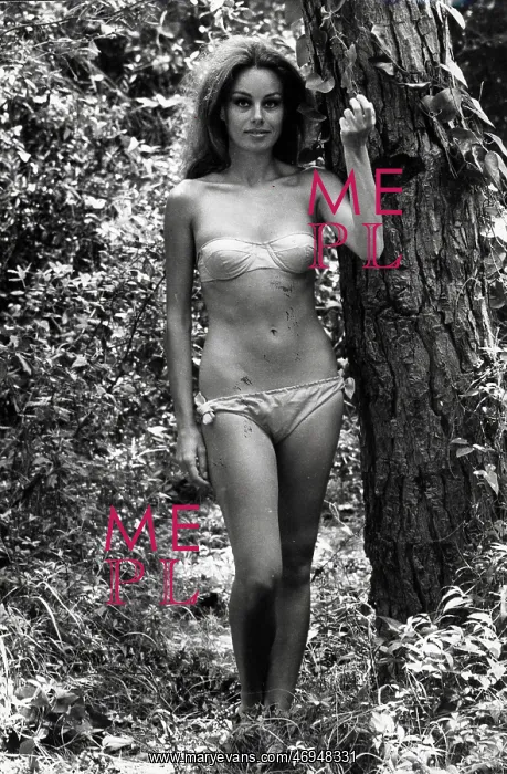 : Actress Catherine Diamant : Actress Catherine Diamant