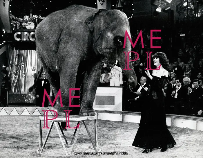 : Actress Claudia Cardinale 1939 - : Actress Claudia Cardinale 1939 -