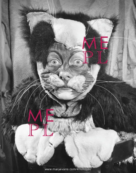 : Actress Freda Wyn in cat costume for a pantomime : Actress Freda Wyn in cat costume for a pantomime
