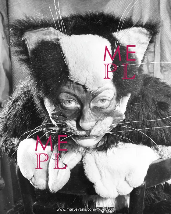 : Actress Freda Wyn in cat costume for a pantomime : Actress Freda Wyn in cat costume for a pantomime