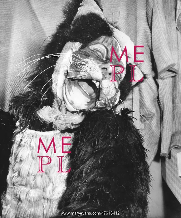 : Actress Freda Wyn in cat costume for a pantomime : Actress Freda Wyn in cat costume for a pantomime