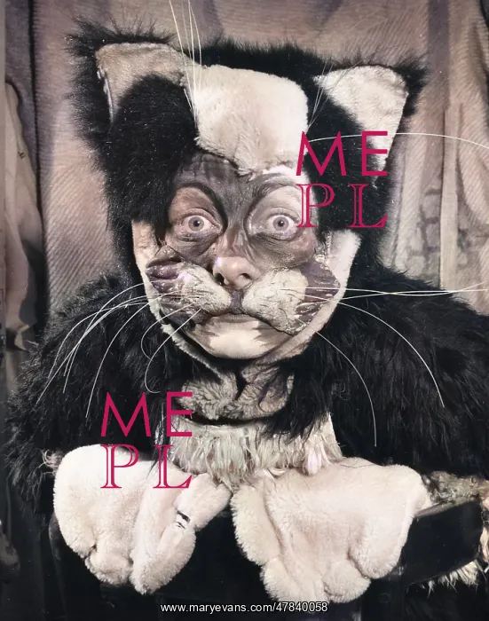 : Actress Freda Wyn in cat costume for a pantomime : Actress Freda Wyn in cat costume for a pantomime