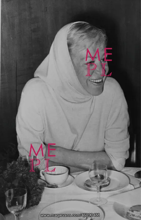 : The actress Hildegard Knef at a press conference : The actress Hildegard Knef at a press conference