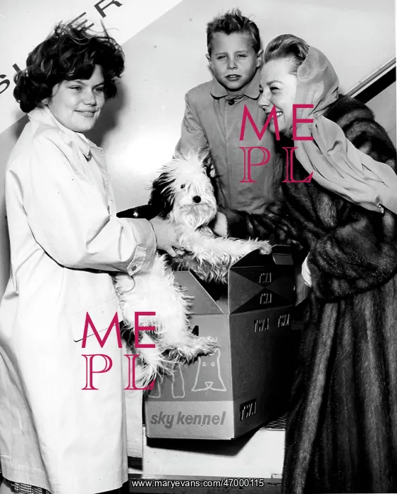 : Actress June Allyson 1917 - 2006 : Actress June Allyson 1917 - 2006