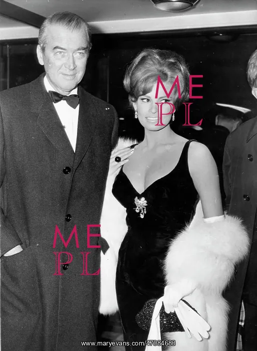 : Actress Raquel Welch 1940 - : Actress Raquel Welch 1940 -