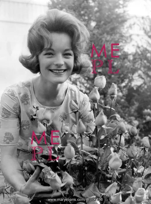 : Actress Romy Schneider 1938 - 1982 : Actress Romy Schneider 1938 - 1982