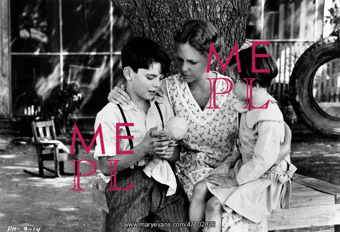 : Actress Sally Field 1946 - : Actress Sally Field 1946 -