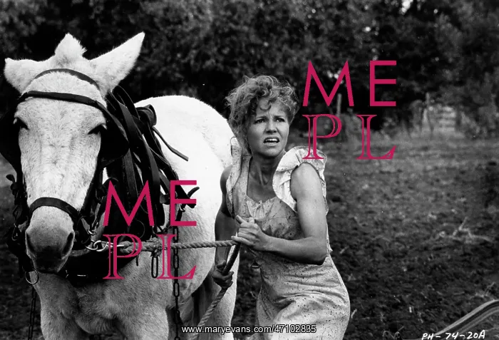 : Actress Sally Field 1946 - : Actress Sally Field 1946 -