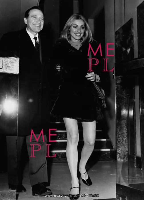 : Actress Sharon Tate 1943 - 1969 : Actress Sharon Tate 1943 - 1969