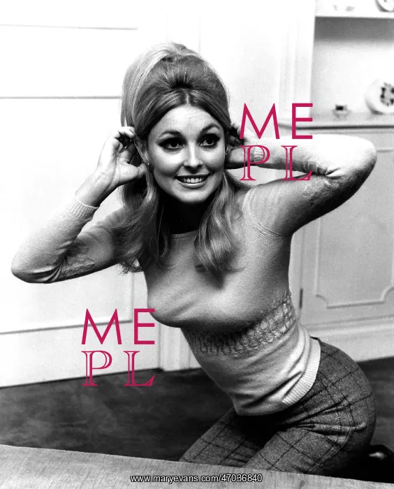 : Actress Sharon Tate 1943 - 1969 : Actress Sharon Tate 1943 - 1969