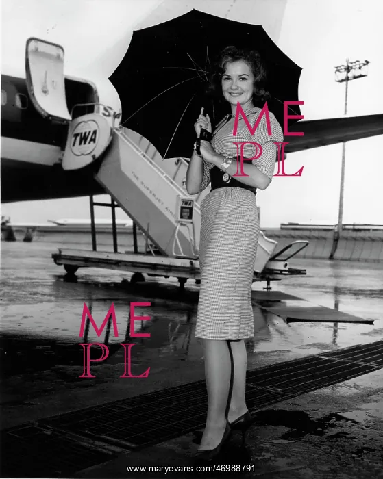 : Actress Shelley Fabares 1944 - : Actress Shelley Fabares 1944 -