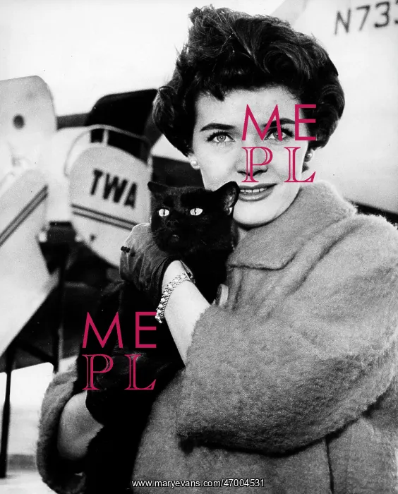 : Actress, Singer Polly Bergen 1930 - : Actress, Singer Polly Bergen 1930 -