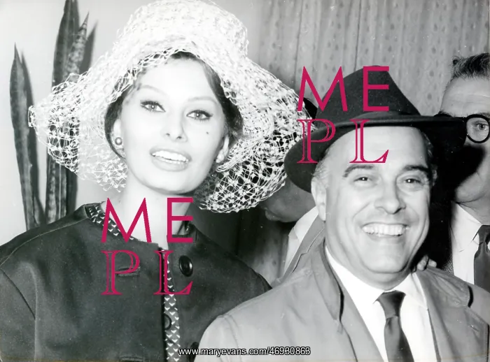 : Actress Sophia Loren 1934 - : Actress Sophia Loren 1934 -
