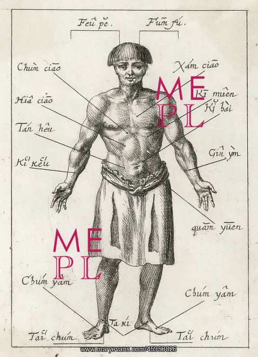 : ACUPUNCTURE IN 17TH CENT : ACUPUNCTURE IN 17TH CENT