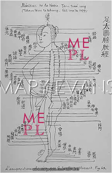 : Acupuncture -- the Bladder : Acupuncture -- the Bladder
