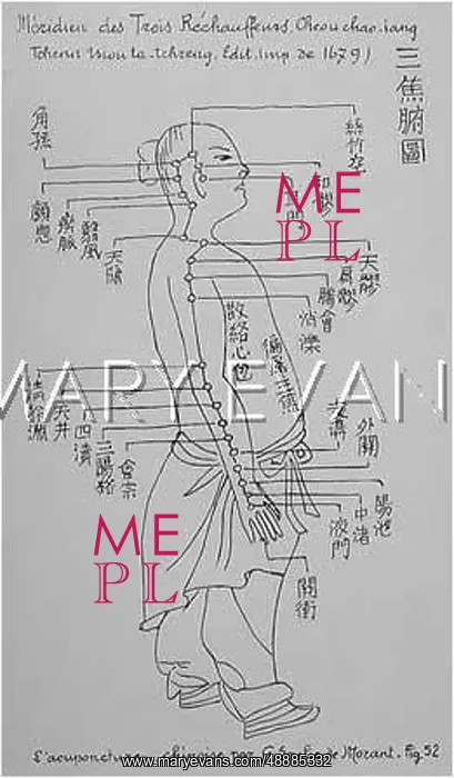 : Acupuncture -- the Calefacients : Acupuncture -- the Calefacients