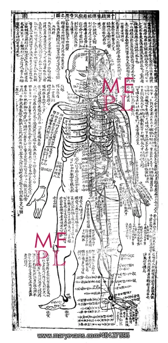 : Acupuncture chart for front of the body. 19th : Acupuncture chart for front of the body. 19th