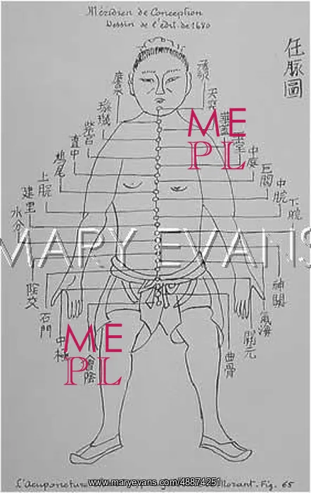  : Acupuncture -- Conception