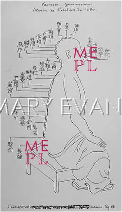 : Acupuncture -- the Governing Vessel : Acupuncture -- the Governing Vessel