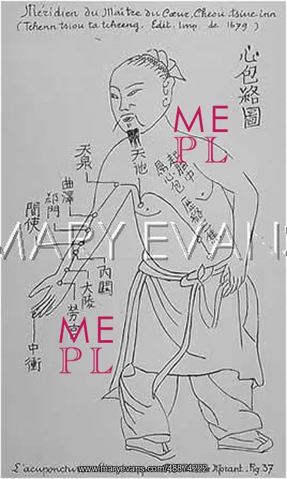 : Acupuncture -- the Heart : Acupuncture -- the Heart
