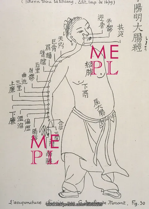 : Acupuncture -- the Large Intestine : Acupuncture -- the Large Intestine