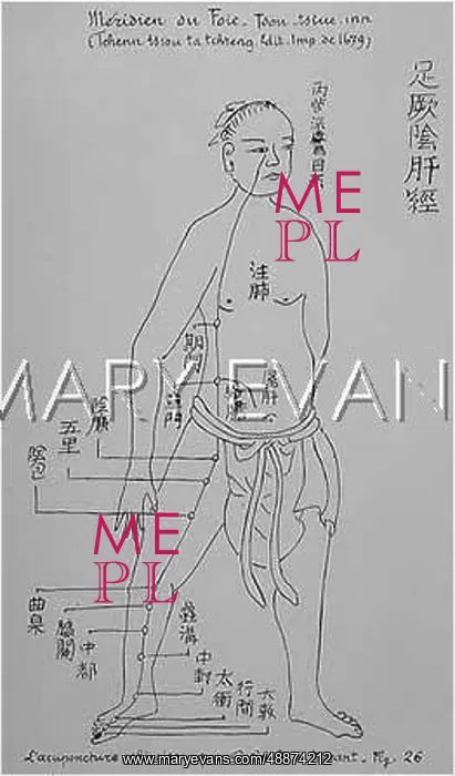 : Acupuncture -- the Liver : Acupuncture -- the Liver
