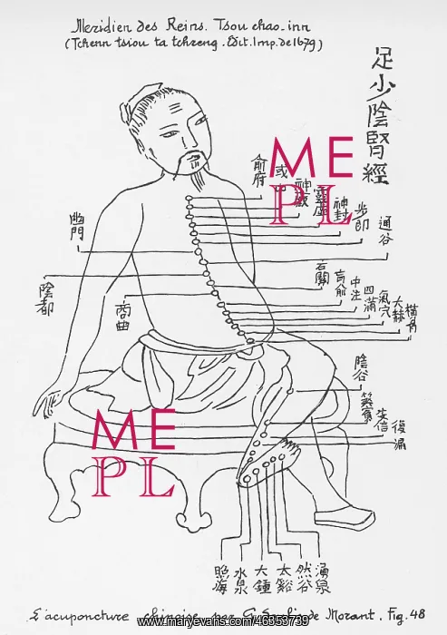 : Acupuncture -- the Loins : Acupuncture -- the Loins