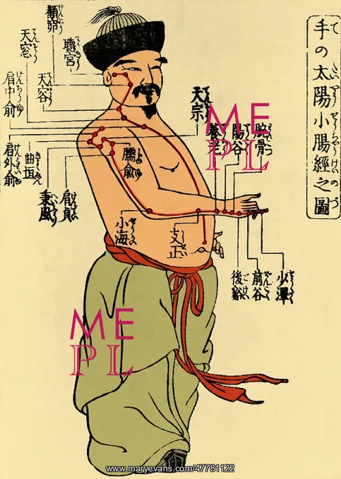 : Acupuncture Points, 1805 : Acupuncture Points, 1805
