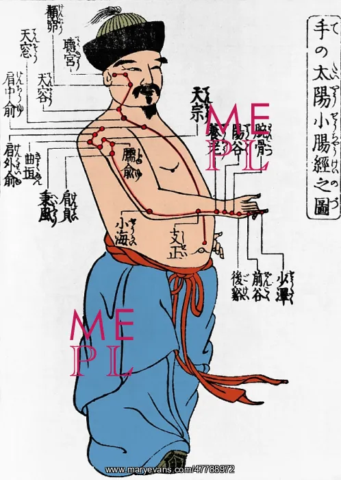 : Acupuncture Points, 1805 : Acupuncture Points, 1805