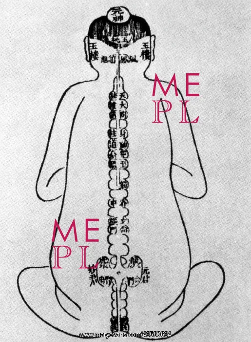 : Acupuncture Points on the Body : Acupuncture Points on the Body