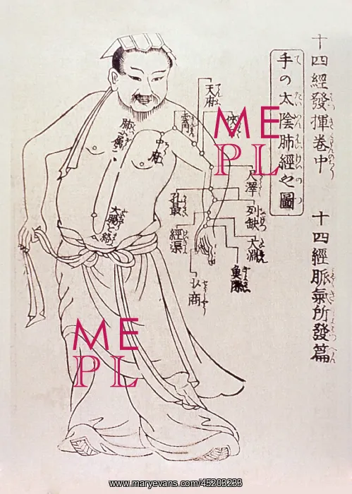 : Acupuncture points on the torso and arm ? : Acupuncture points on the torso and arm ?