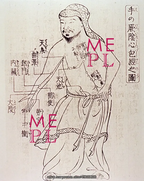 : Acupuncture points on the torso and arm ? : Acupuncture points on the torso and arm ?