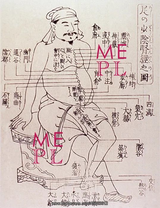 : Acupuncture points on the torso and leg ? : Acupuncture points on the torso and leg ?
