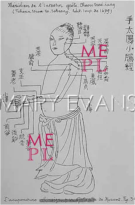  : Acupuncture -- the Small Intestine
