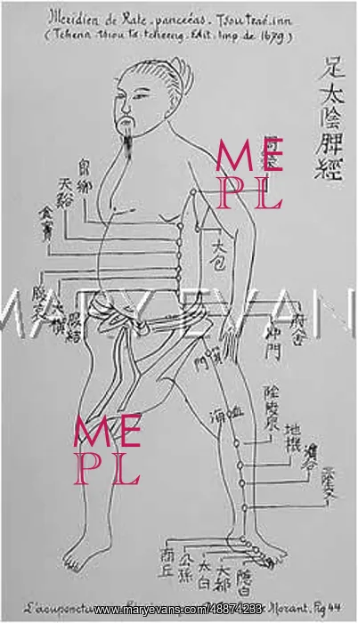 : Acupuncture -- the Spleen and Pancreas : Acupuncture -- the Spleen and Pancreas
