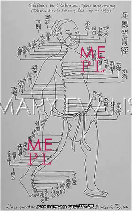 : Acupuncture -- the Stomach : Acupuncture -- the Stomach