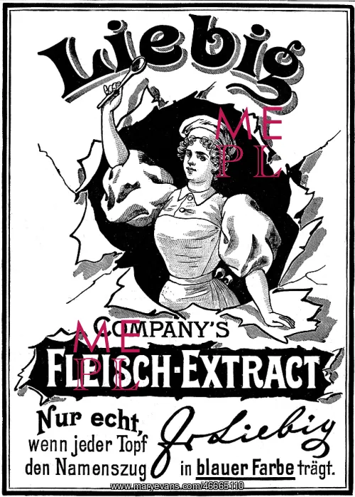 : advertising, advertisement for Liebig meat extract : advertising, advertisement for Liebig meat extract
