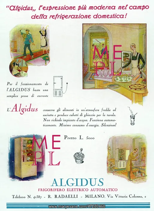 : Advert for Algidus refrigerator : Advert for Algidus refrigerator
