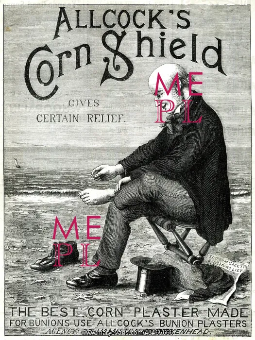 : Advert, Allcock's Corn Shield : Advert, Allcock's Corn Shield