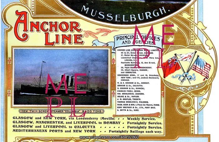 : Advert, Anchor Line Ferry Steamers : Advert, Anchor Line Ferry Steamers