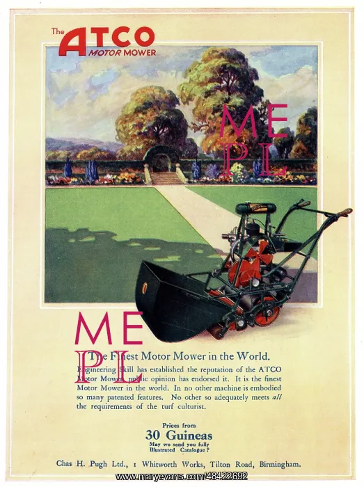 : Advert, The Atco Motor Lawn Mower : Advert, The Atco Motor Lawn Mower