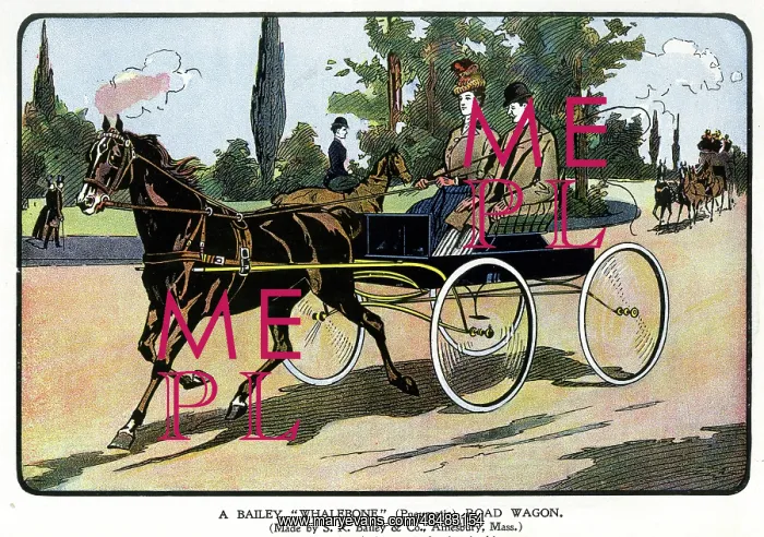 : Advert, Bailey Whalebone Pneumatic Road Wagon : Advert, Bailey Whalebone Pneumatic Road Wagon