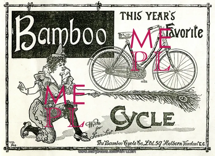 : Advert, The Bamboo Cycle Co Ltd : Advert, The Bamboo Cycle Co Ltd