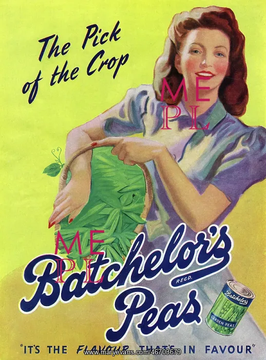 : Advertisement for Batchelor's Peas : Advertisement for Batchelor's Peas