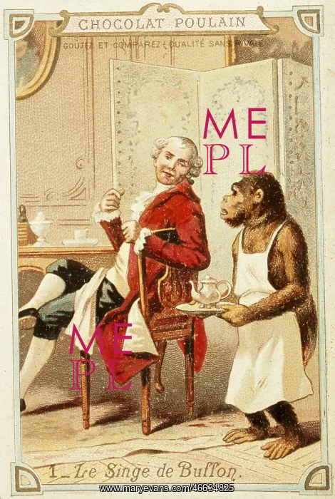 : advertising, beverages, cocoa, advertisement : advertising, beverages, cocoa, advertisement