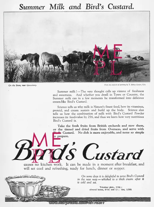  : Advert for Bird's custard, 1926