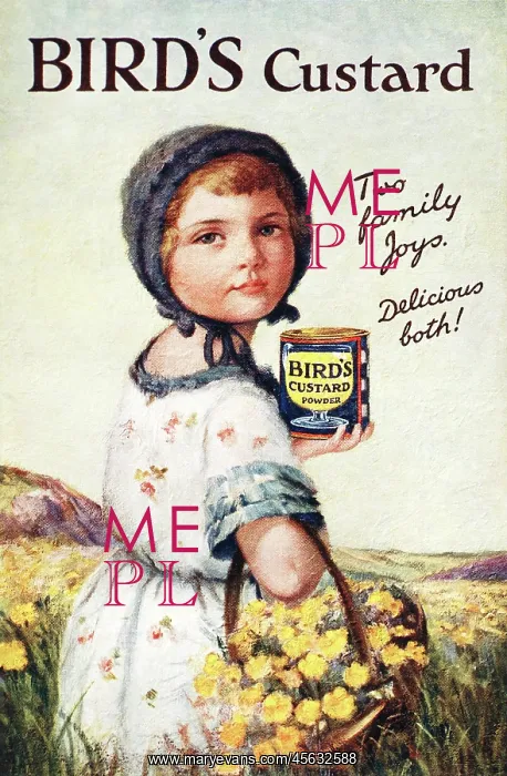 : Advertisement, Bird's Custard : Advertisement, Bird's Custard