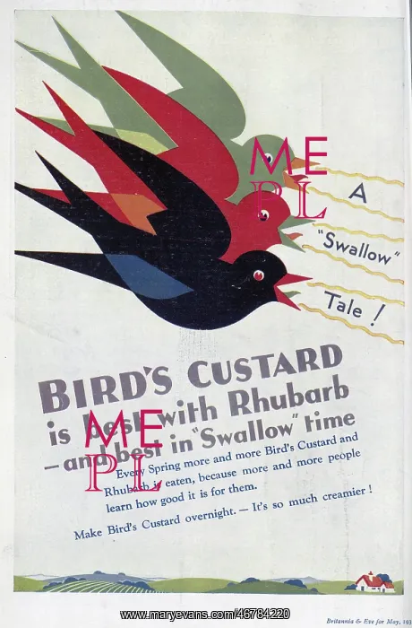 : Advert for Bird's Custard : Advert for Bird's Custard