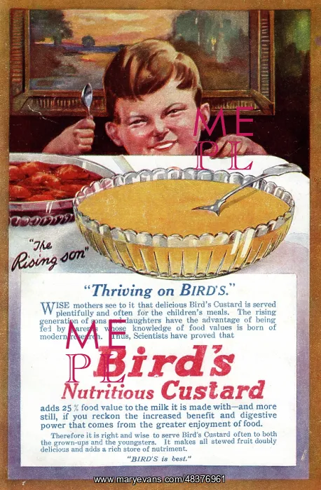 : Advert, Bird's Custard : Advert, Bird's Custard