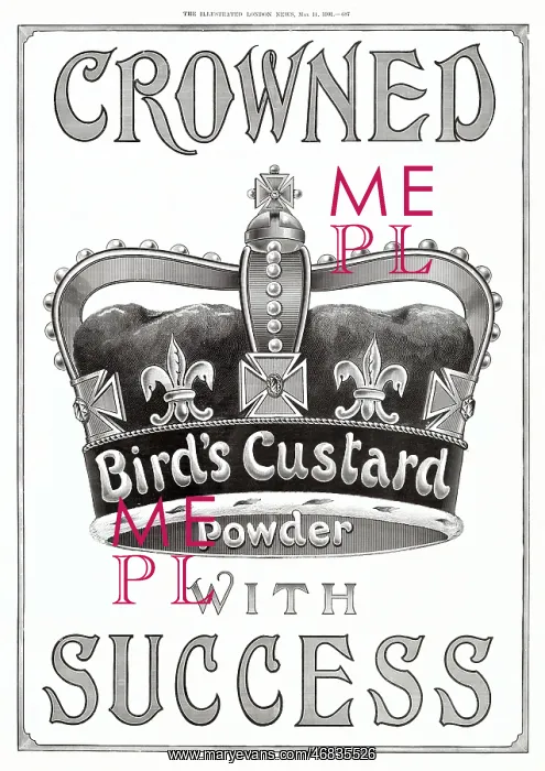 : Advert for Bird's Custard Powder 1901 : Advert for Bird's Custard Powder 1901